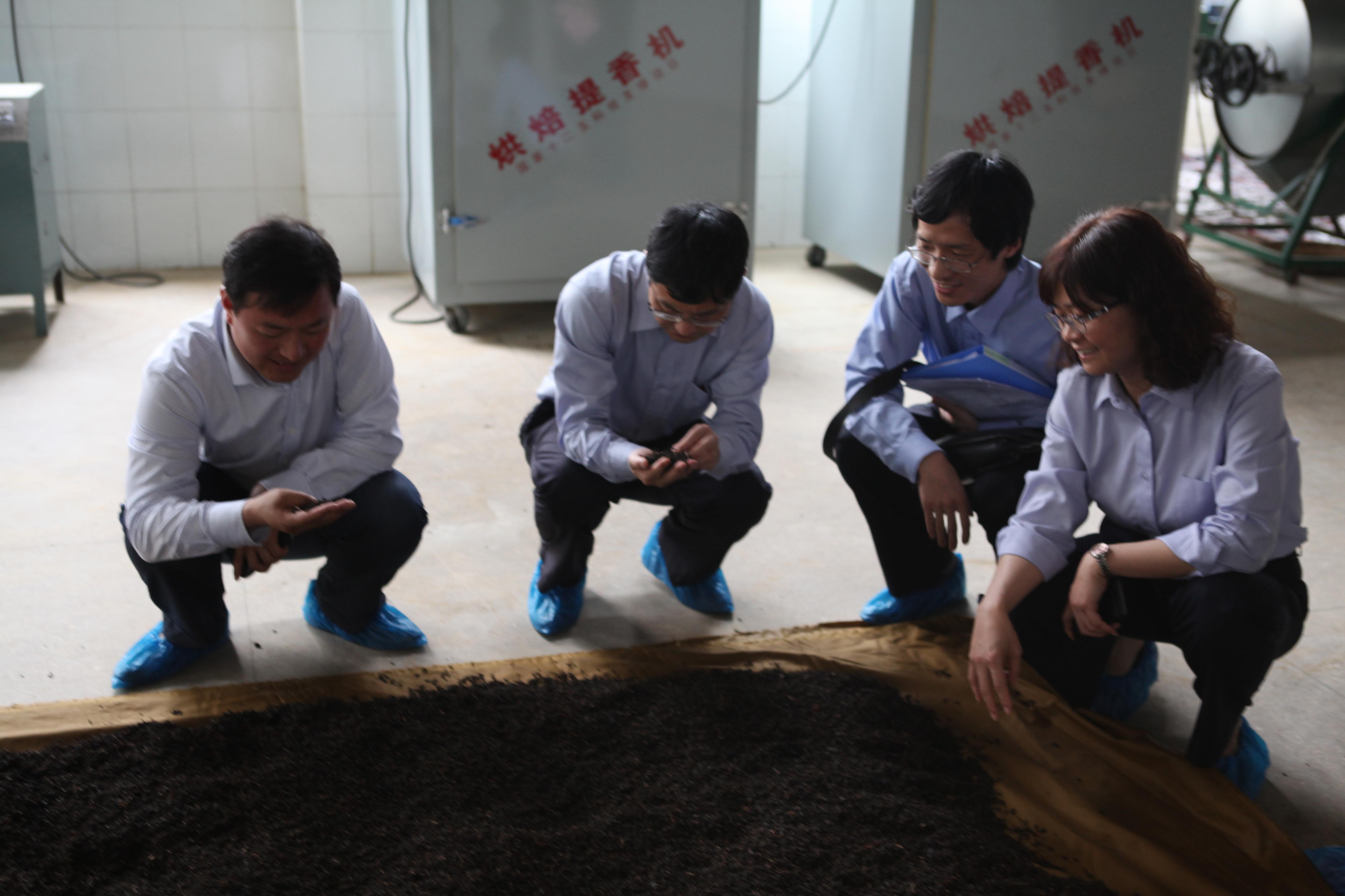 圖為金信財(cái)稅參與現(xiàn)場評審